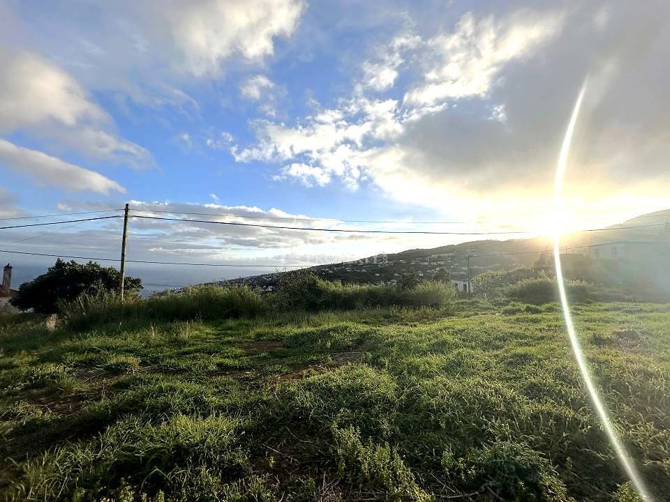 Land in Santa Cruz, Madeira, Portugal 4 - 16561719
