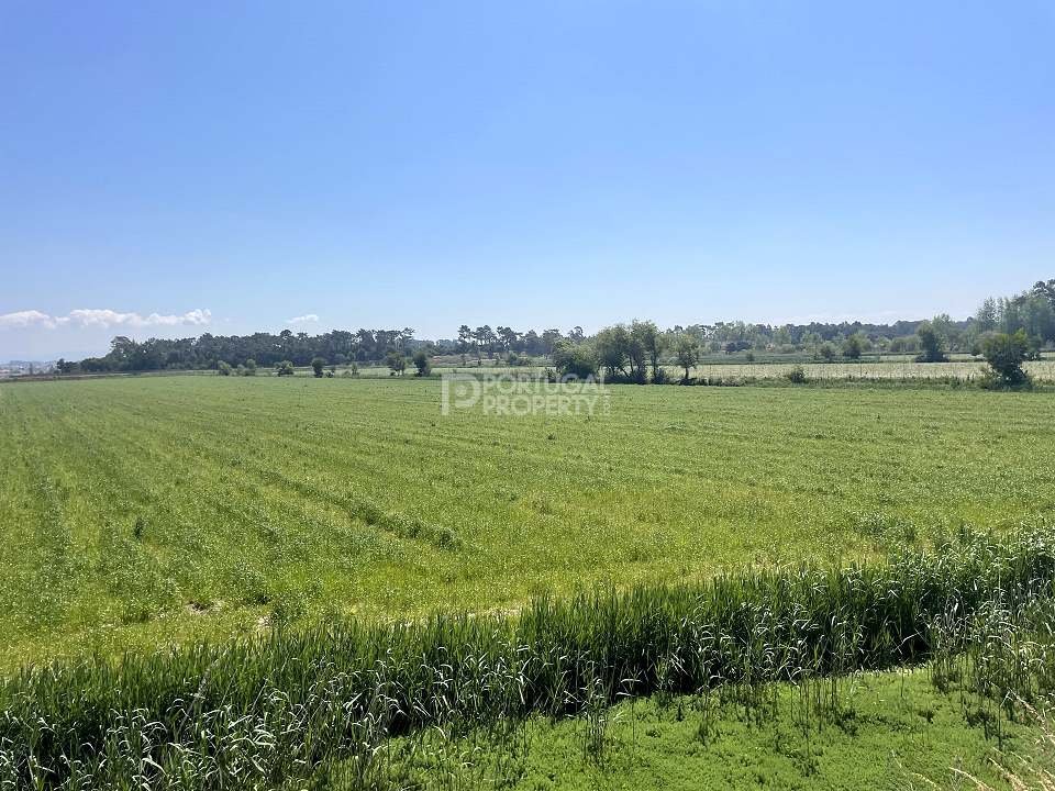 Land in Cedofeita, Santo Ildefonso, Se, Miragaia, Sao Nicolau e Vitoria, Porto District, Portugal 3 - 16562426