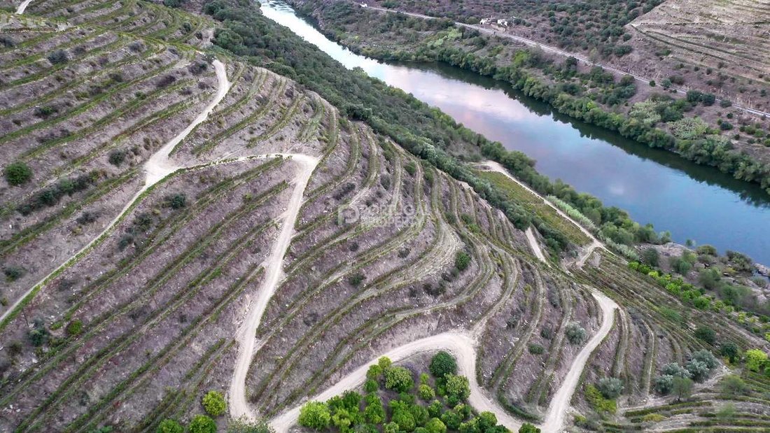Terrain à Se, Santa Maria e Meixedo, Bragance, Portugal 3 - 16561590