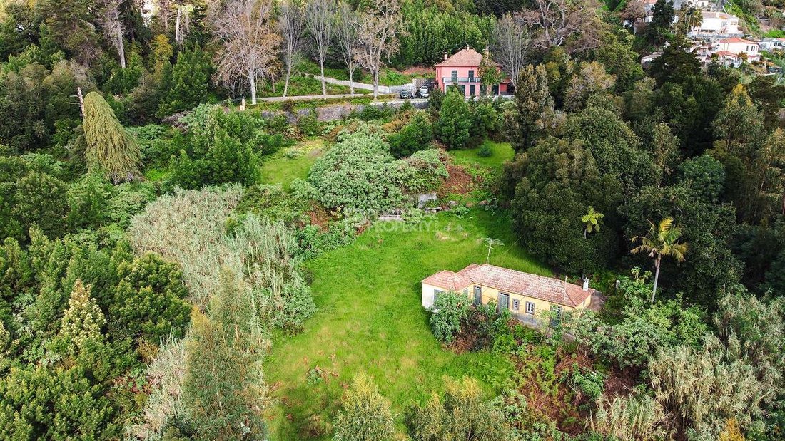 Villa in Sao Roque, Madeira, Portugal 4 - 16561863