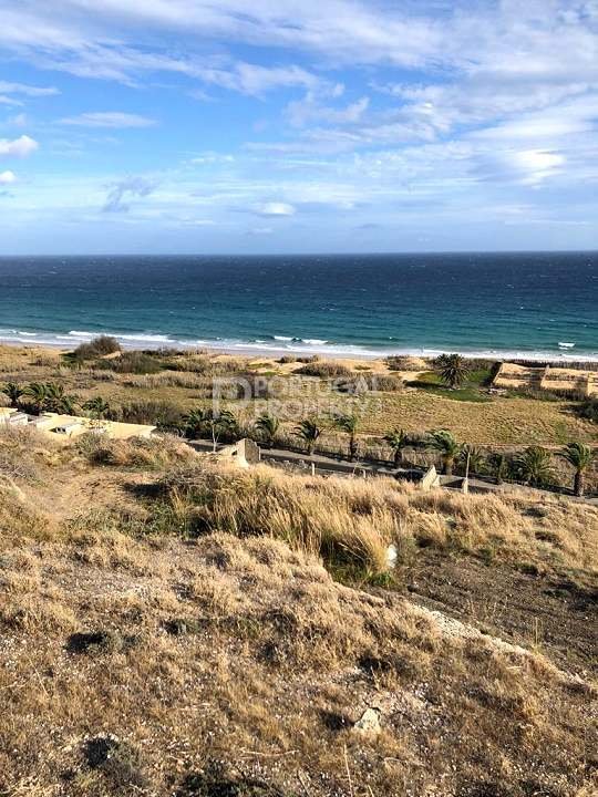 Land in Porto Santo Island, Madeira, Portugal 3 - 16562484