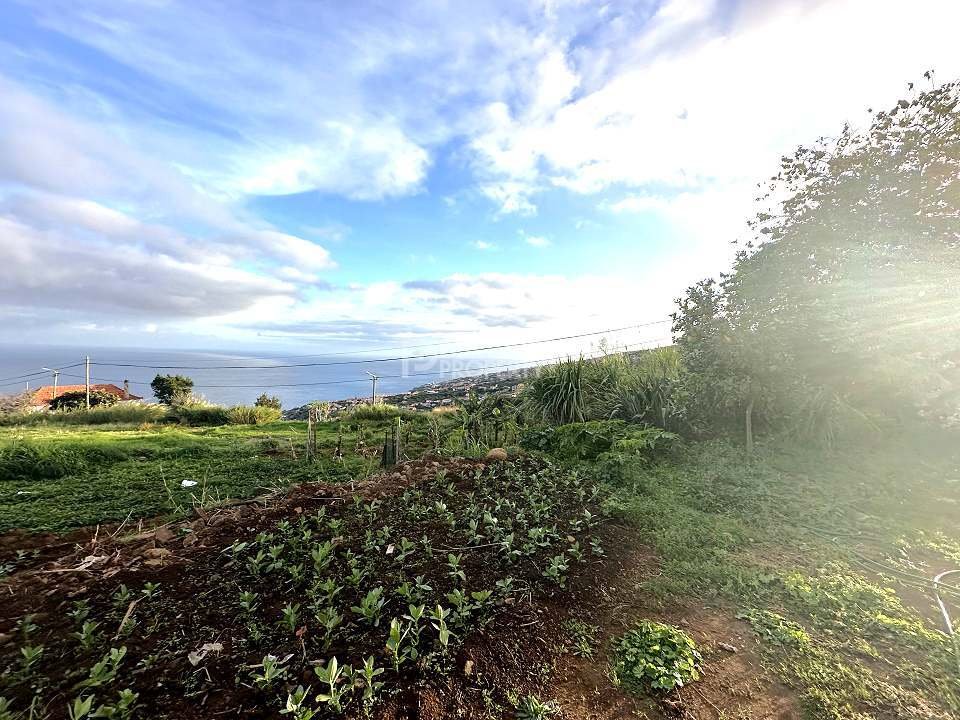 Land in Santa Cruz, Madeira, Portugal 2 - 16561719
