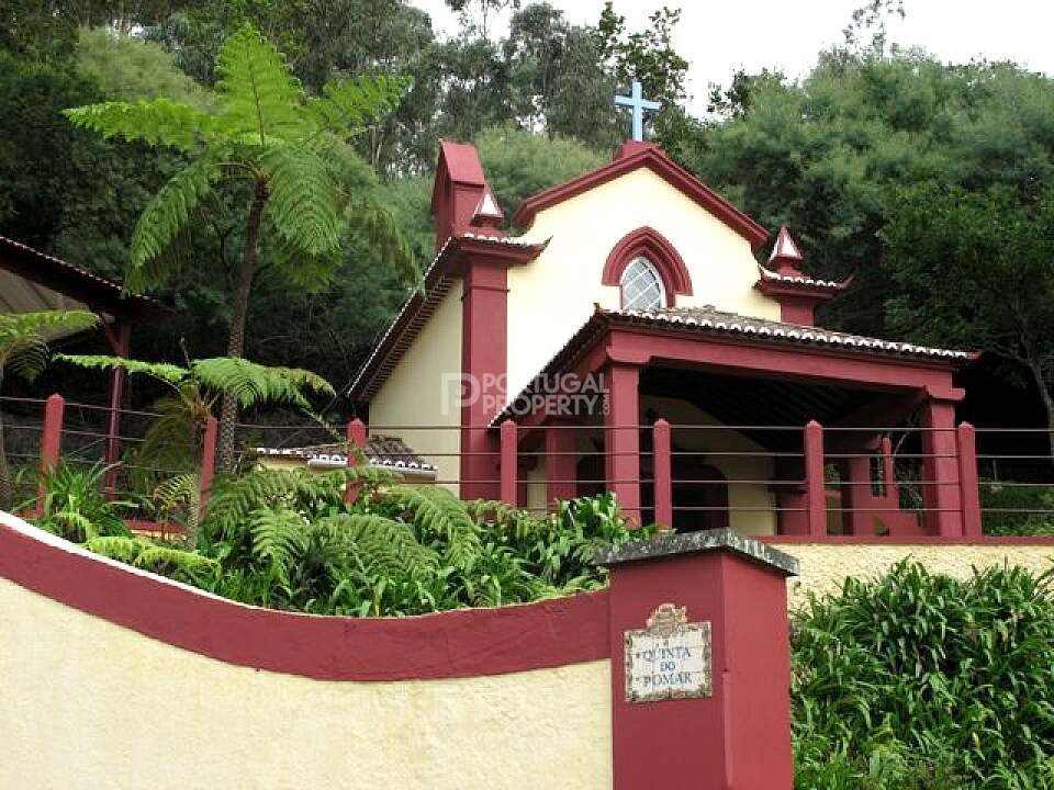 Villa a São Roque, Madera, Portogallo 5 - 16561324