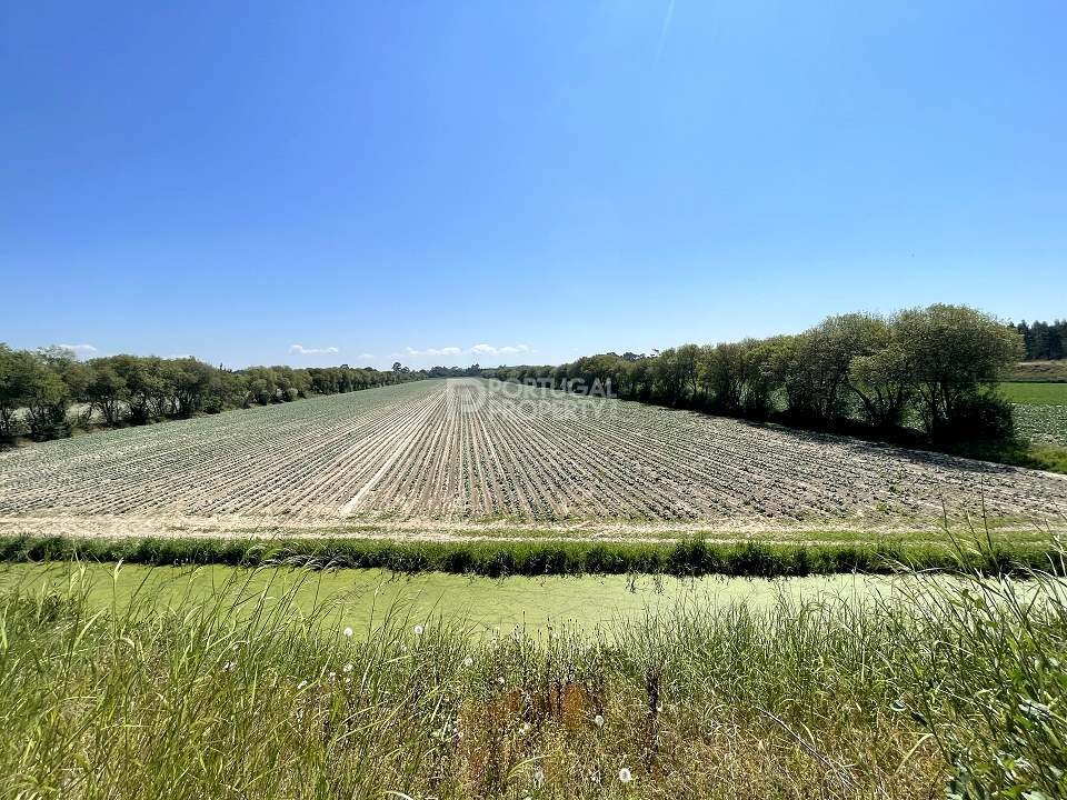 Land in Cedofeita, Santo Ildefonso, Se, Miragaia, Sao Nicolau e Vitoria, Porto District, Portugal 2 - 16562426