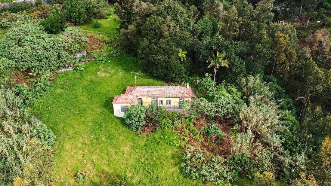 Villa in Sao Roque, Madeira, Portugal 5 - 16561863