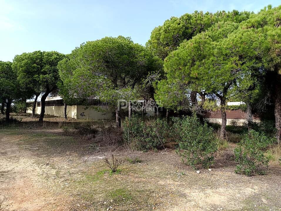 Land in Vale do Lobo, Almancil, Portugal 2 - 16561504
