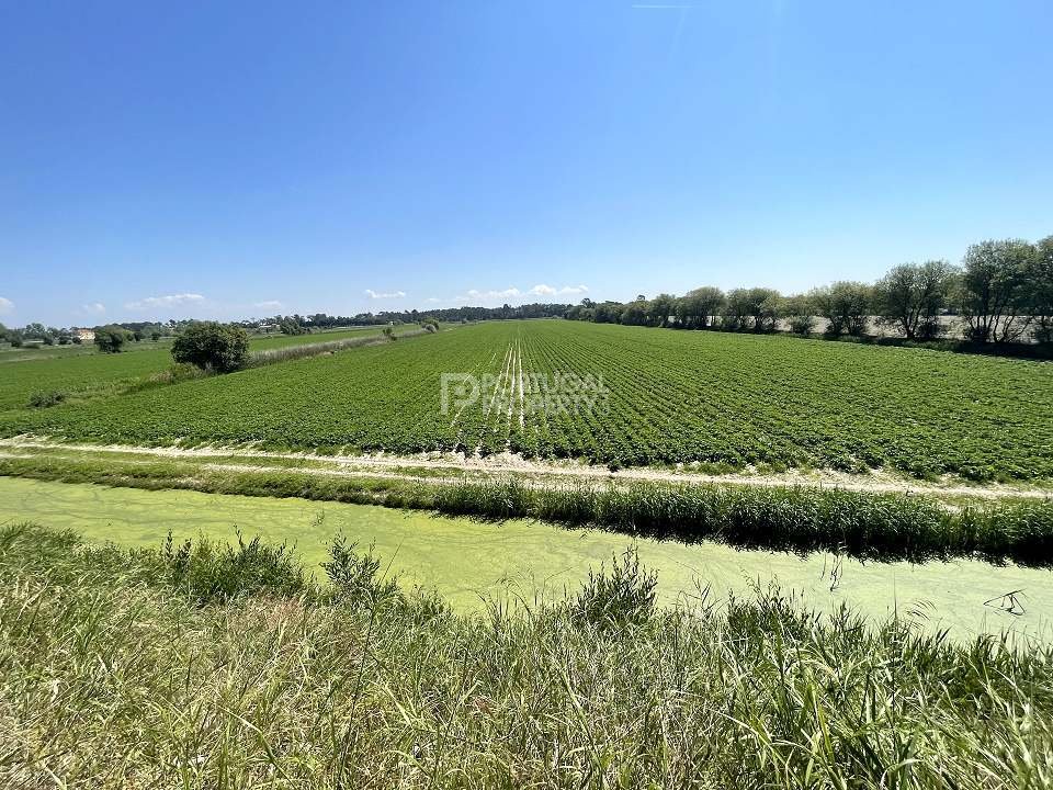 Land in Cedofeita, Santo Ildefonso, Se, Miragaia, Sao Nicolau e Vitoria, Porto District, Portugal 1 - 16562426