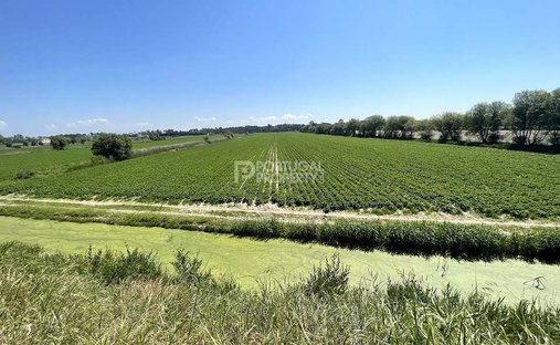 Land in Cedofeita, Santo Ildefonso, Se, Miragaia, Sao Nicolau e Vitoria, Porto District, Portugal 1