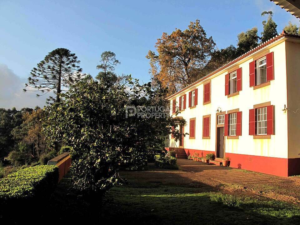 Villa a São Roque, Madera, Portogallo 3 - 16561324