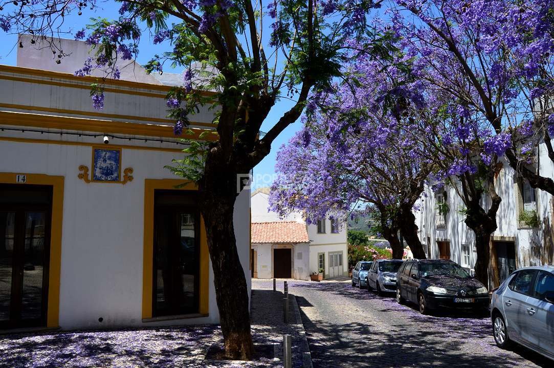 Villa a Estoi, Algarve, Portogallo 2 - 16561663