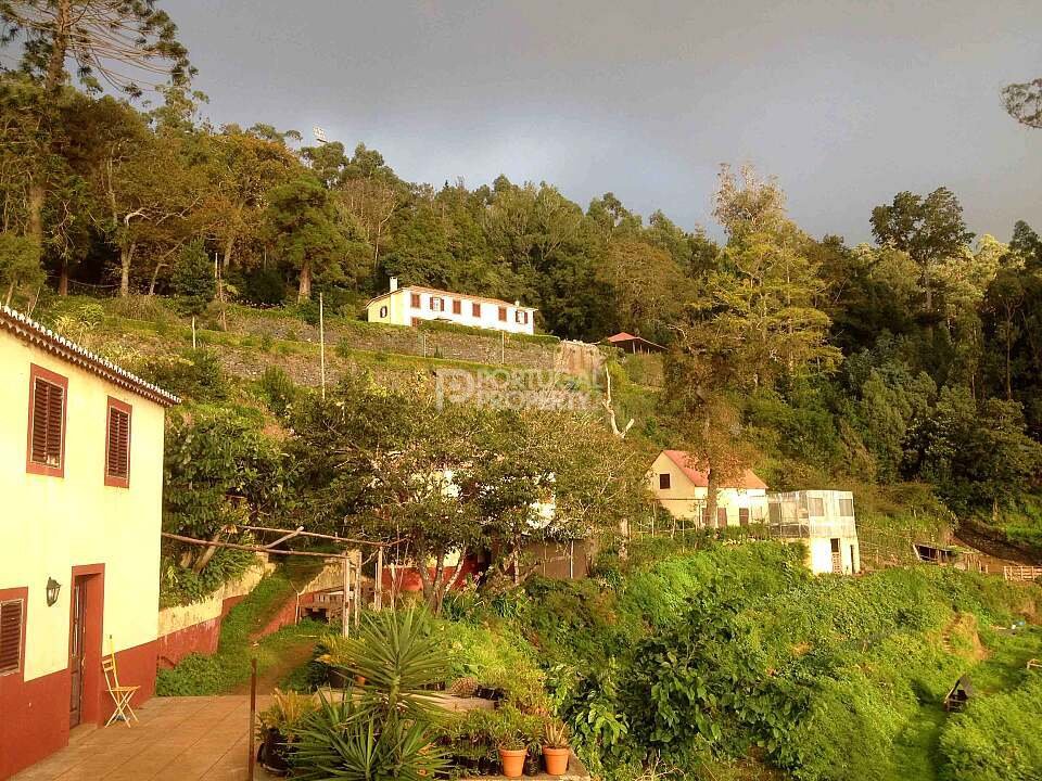 Villa a São Roque, Madera, Portogallo 4 - 16561324