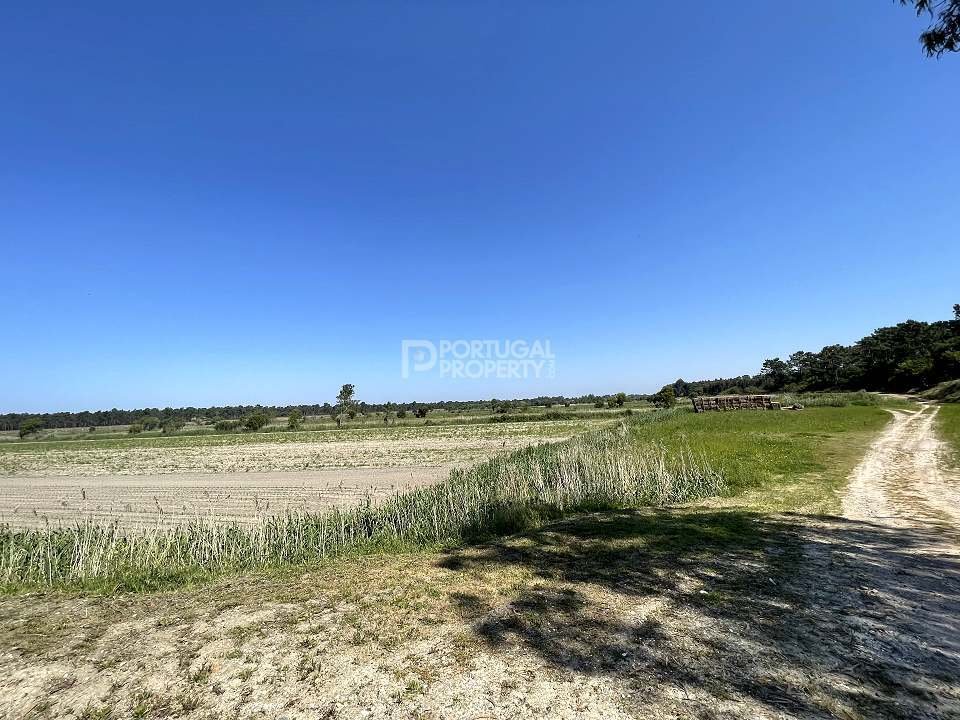 Land in Cedofeita, Santo Ildefonso, Se, Miragaia, Sao Nicolau e Vitoria, Porto District, Portugal 4 - 16562426