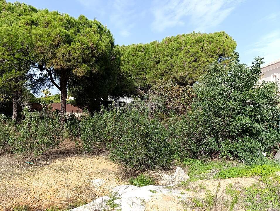 Land in Vale do Lobo, Almancil, Portugal 5 - 16561504