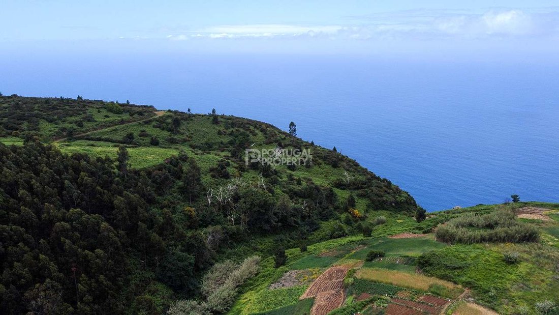 Land in Estreito da Calheta, Madeira, Portugal 4 - 16561854