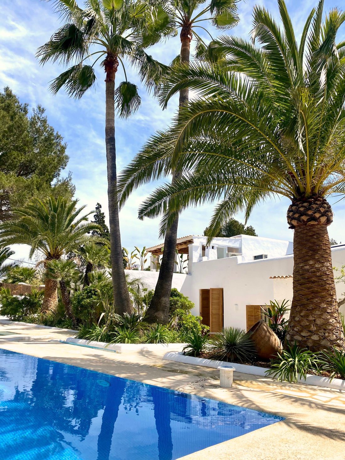 Finca in Jesus, Santa Eularia des Riu, Balearic Islands 5 - 16560986
