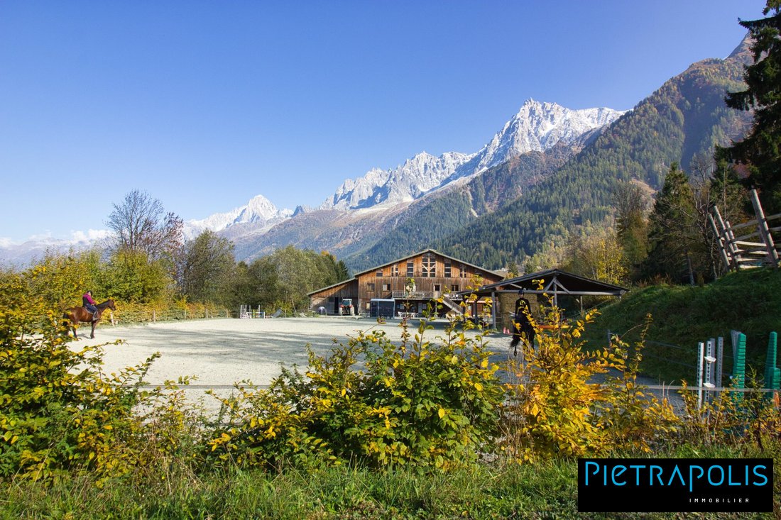 Chalet in Chamonix-Mont-Blanc, Auvergne-Rhône-Alpes, France 2 - 16561270