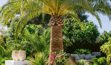 Finca in Jesus, Santa Eularia des Riu, Balearic Islands 2