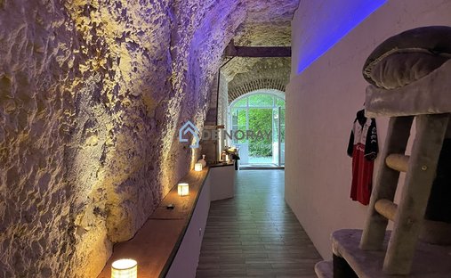 Castle for Sale in Amboise, Centre-Val de Loire, France