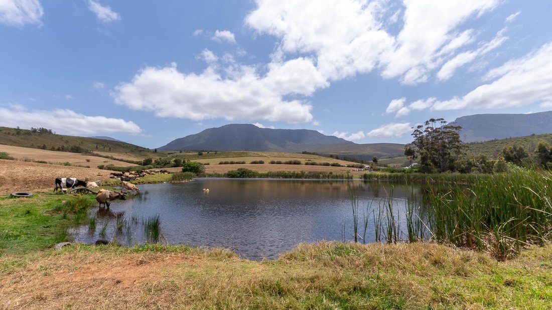 Farm Ranch in Riversdale, Western Cape, South Africa 5 - 16564200