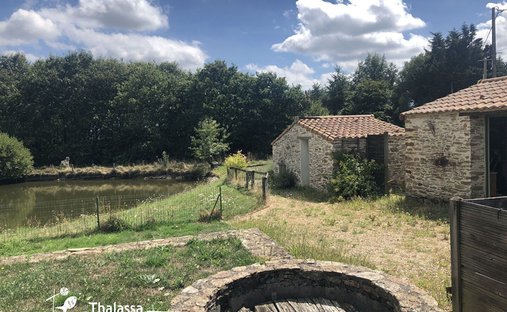 Castle for Sale in Saint-Michel-Chef-Chef, Pays de la Loire, France