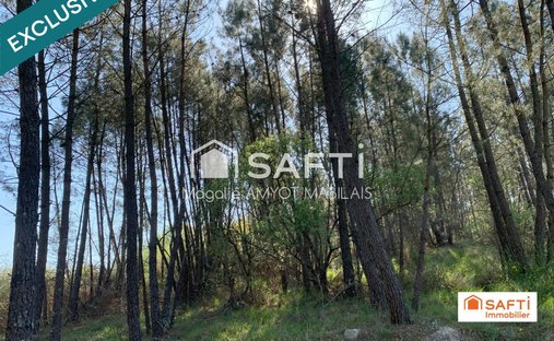 Castle for Sale in Barbezieux-Saint-Hilaire, Nouvelle-Aquitaine, France