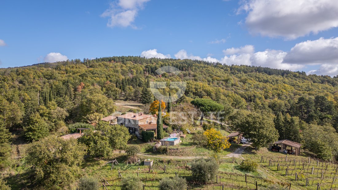 Estate in Montegabbione, Umbria, Italy 3 - 16564670