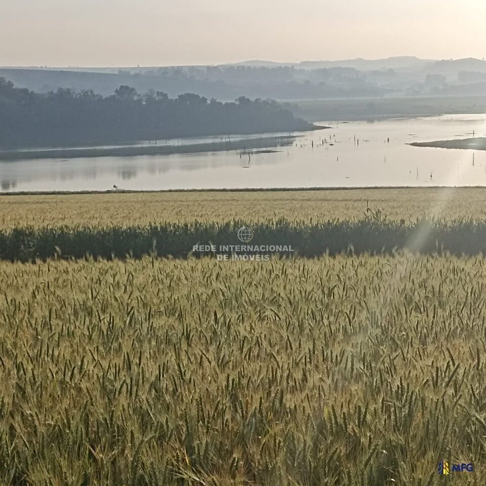 Farm Ranch in Itaporanga, State of Paraíba, Brazil 2 - 16563175