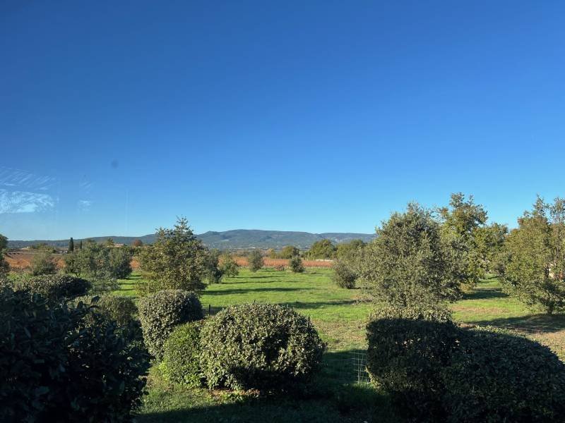 House in Oppède, Provence-Alpes-Côte d'Azur, France 4 - 16564400