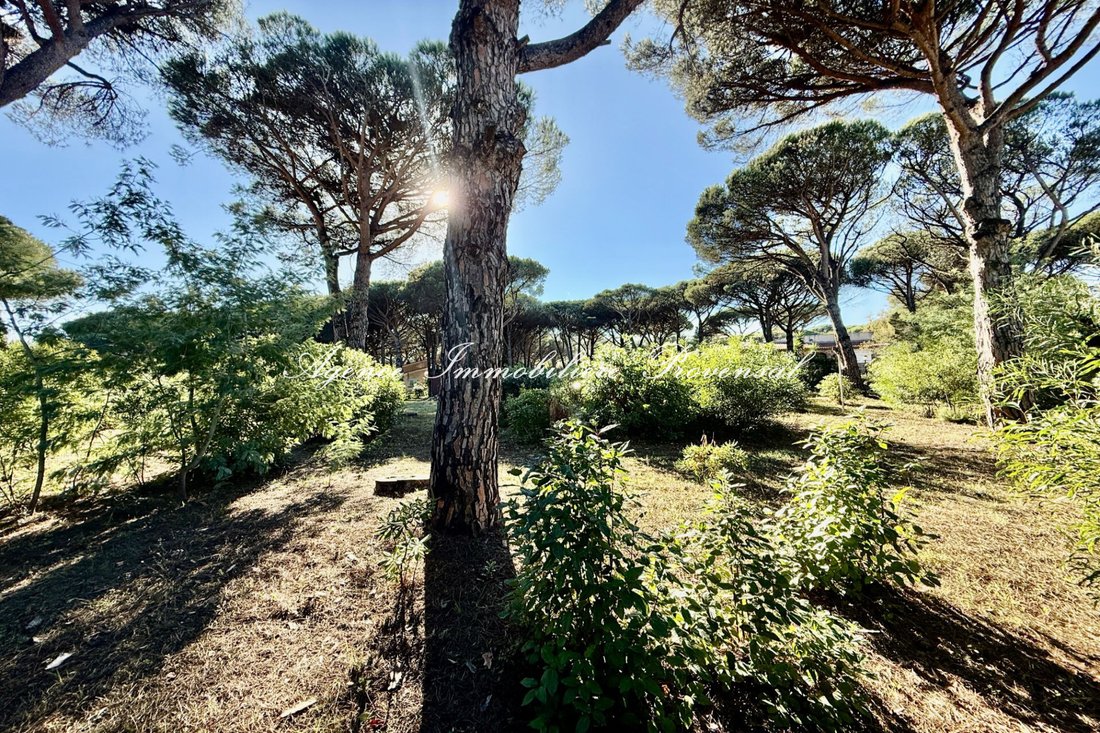 Land in Nartelle-Noyer-Bellevue-bd des Sardinaux, Sainte-Maxime, France 3 - 16563012