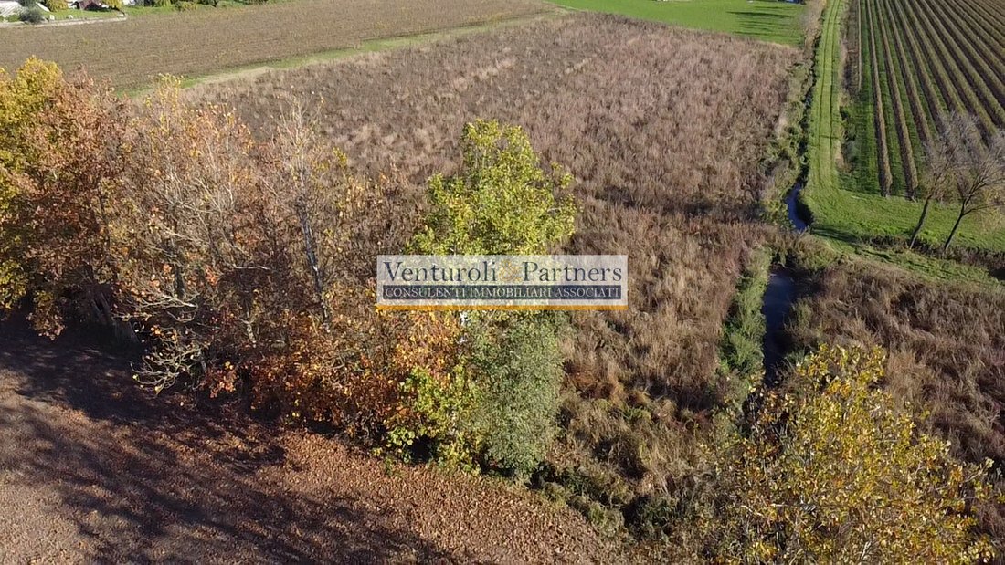Land in Lonato del Garda, Lombardy, Italy 3 - 14374743