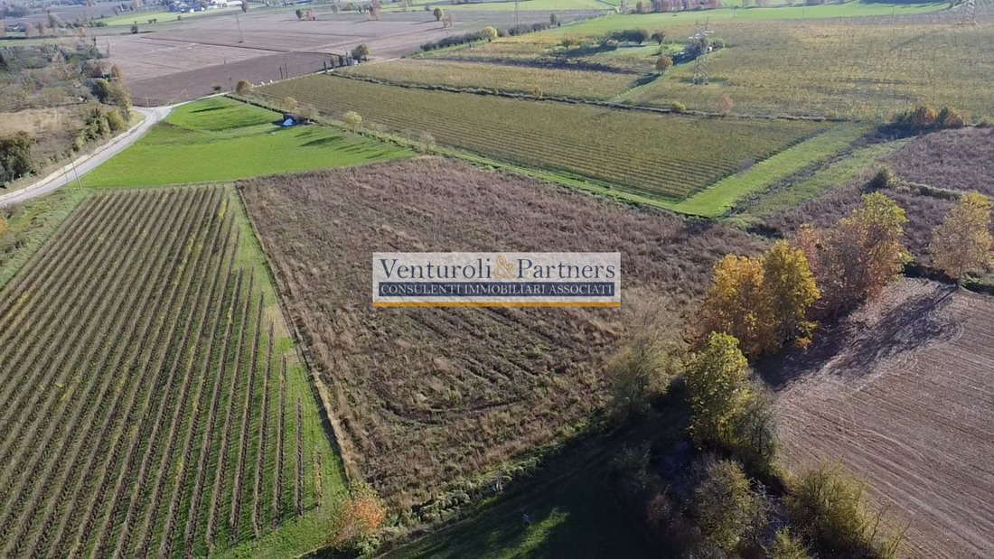 Land in Lonato del Garda, Lombardy, Italy 2 - 14374743