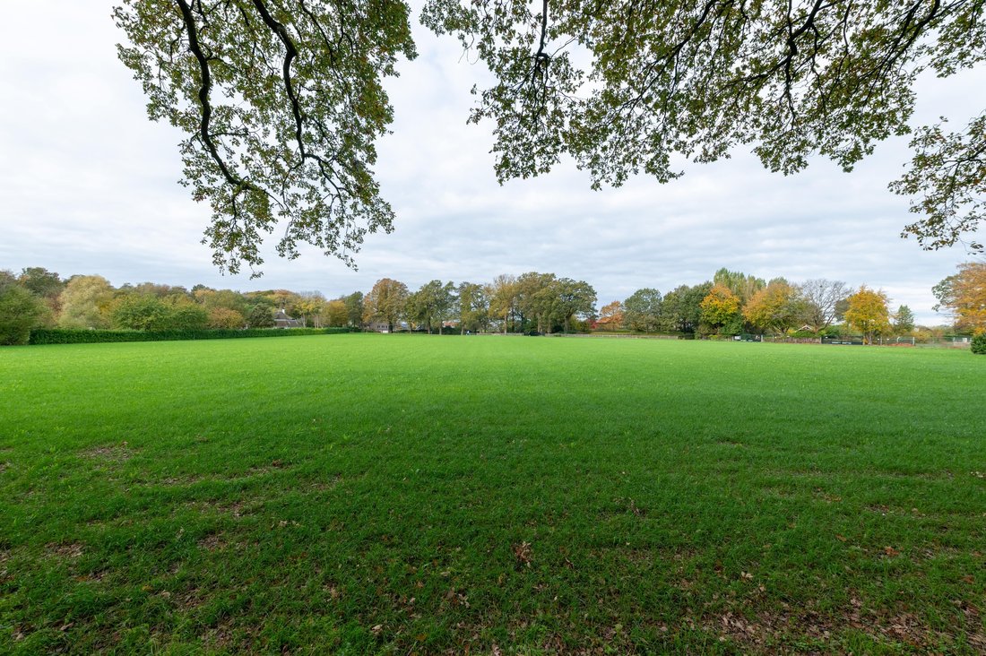 Land in The Hague, South Holland, Netherlands 4 - 16561607