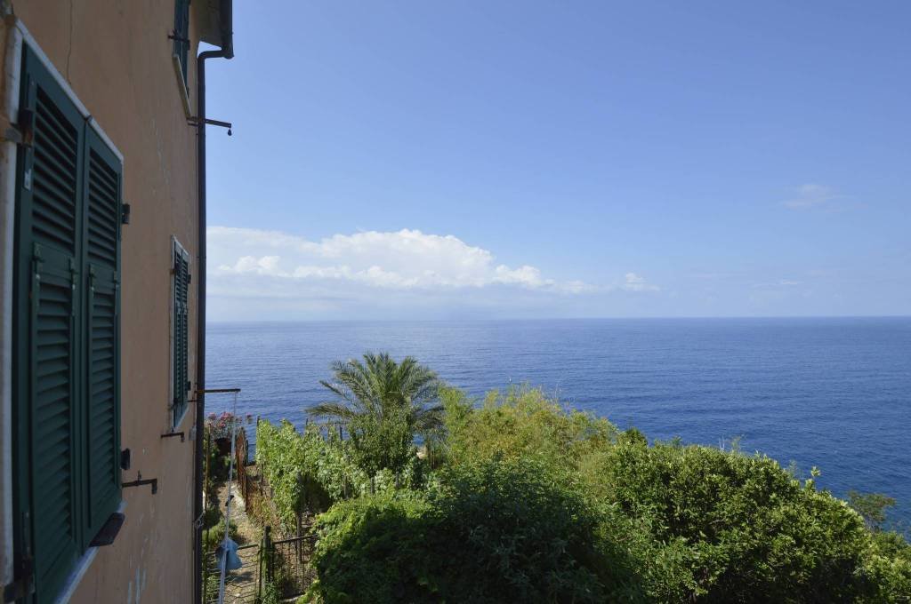Apartment in Riomaggiore, Liguria, Italy 3 - 16562136