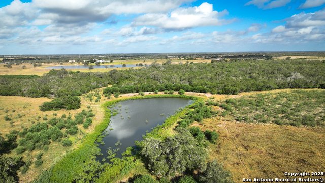 Farm Ranch in Nixon, Texas, United States 3 - 16566300