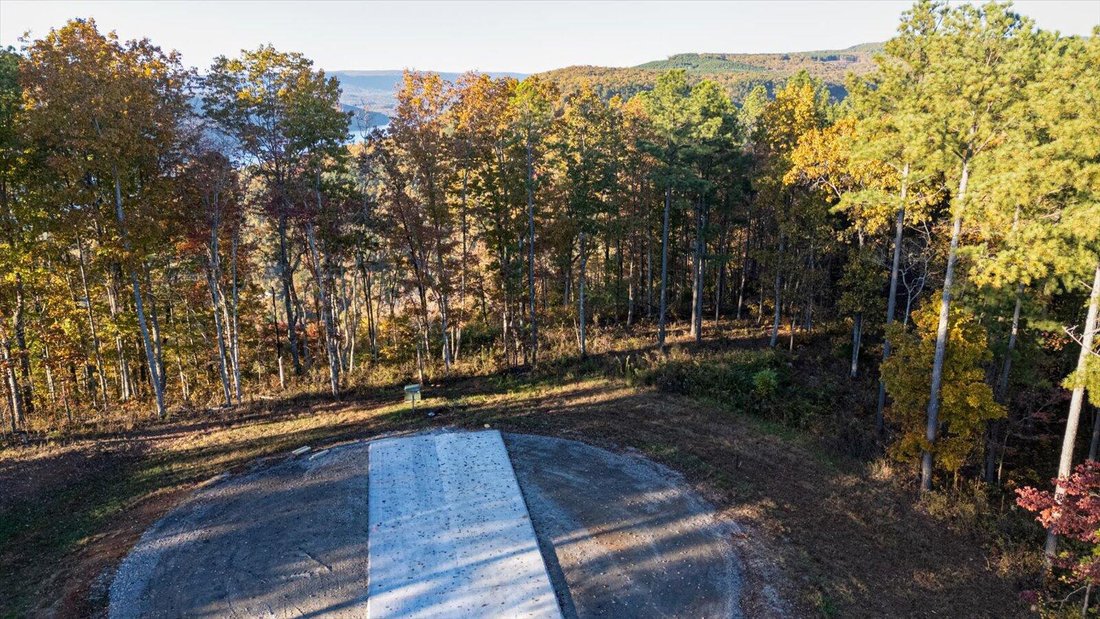 Land in Bean Station, Tennessee, United States 4 - 16566055