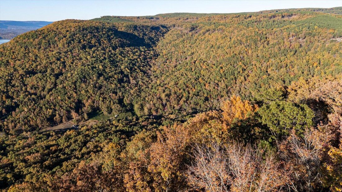 Land in Bean Station, Tennessee, United States 5 - 16566055