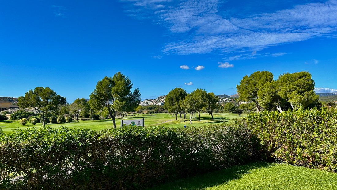 Apartment in Santa Ponsa, Balearic Islands, Spain 4 - 16564882