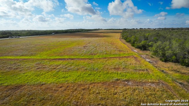Farm Ranch in Nixon, Texas, United States 5 - 16566300