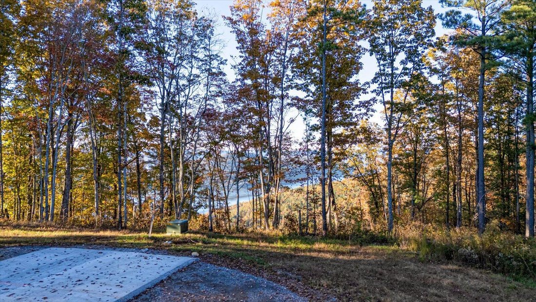 Land in Bean Station, Tennessee, United States 5 - 16566055