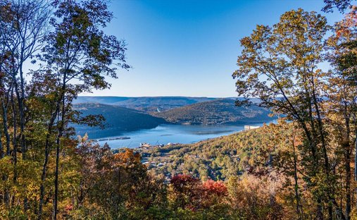 Land in Bean Station, Tennessee, United States 1