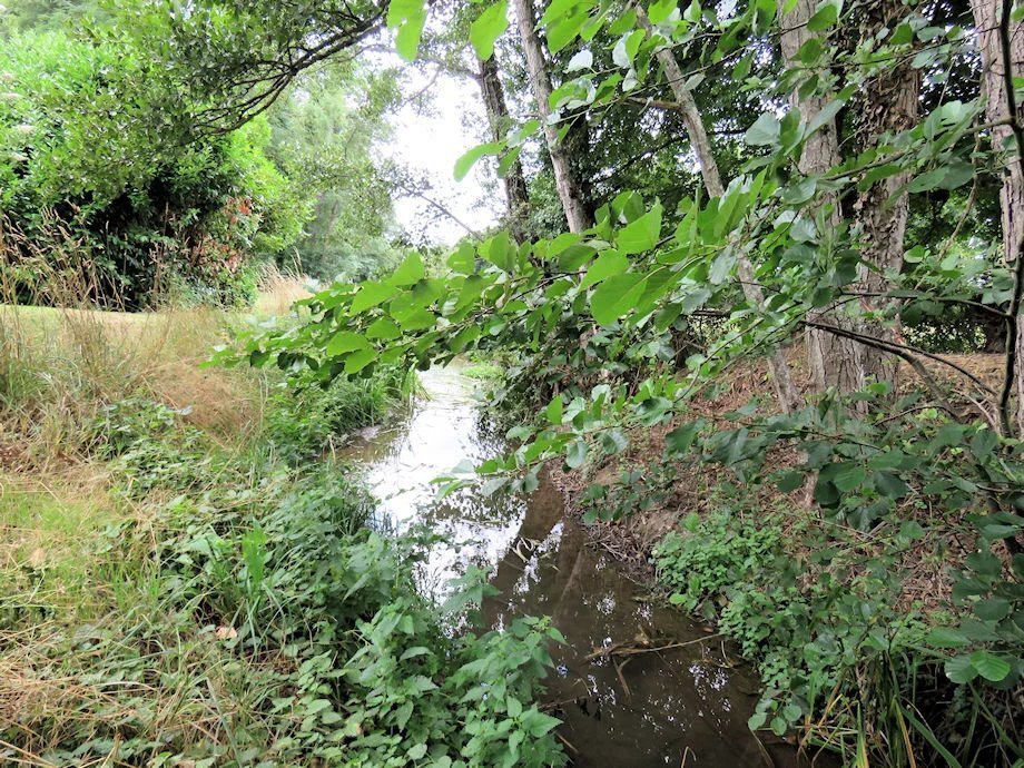 Sury-pres-Lere, Centre-Val de Loire, France 5 - 16566634