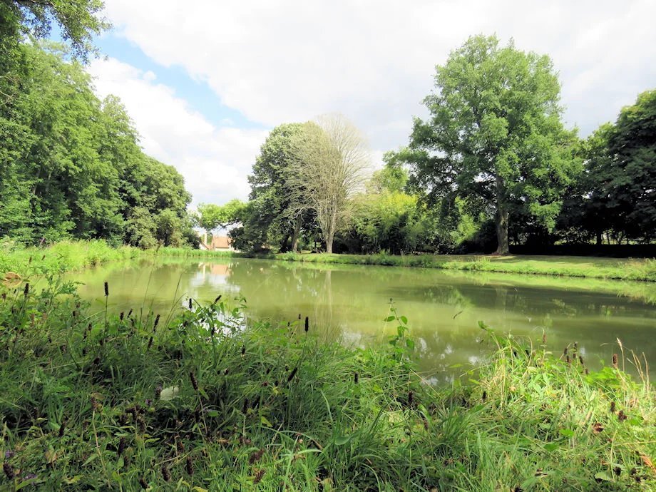 Sury-pres-Lere, Centre-Val de Loire, France 4 - 16566634
