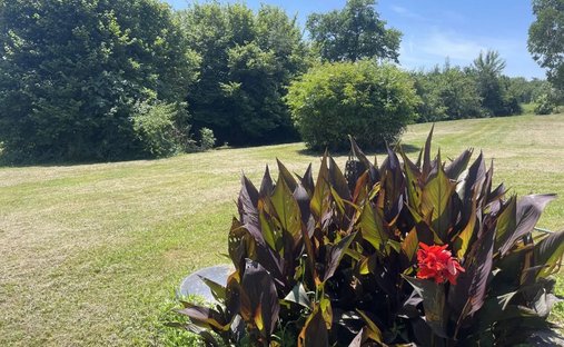 Gers Château Of 1300m² On 5 Hectares