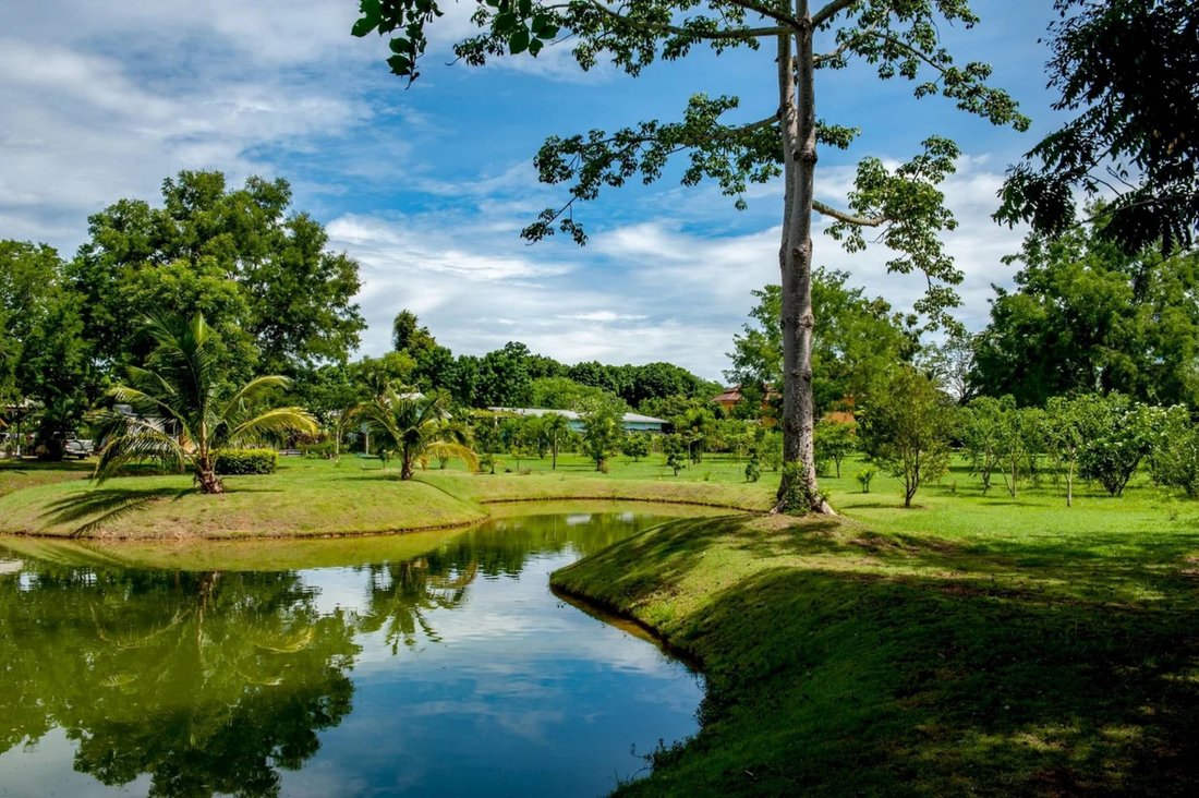 House in Nakhon Ratchasima, Nakhon Ratchasima, Thailand 3 - 14791539