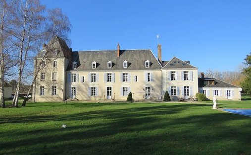 Chateau With Its Lodges For Sale On A Part Wooded 71 Acre Estate With Lake In South Touraine.