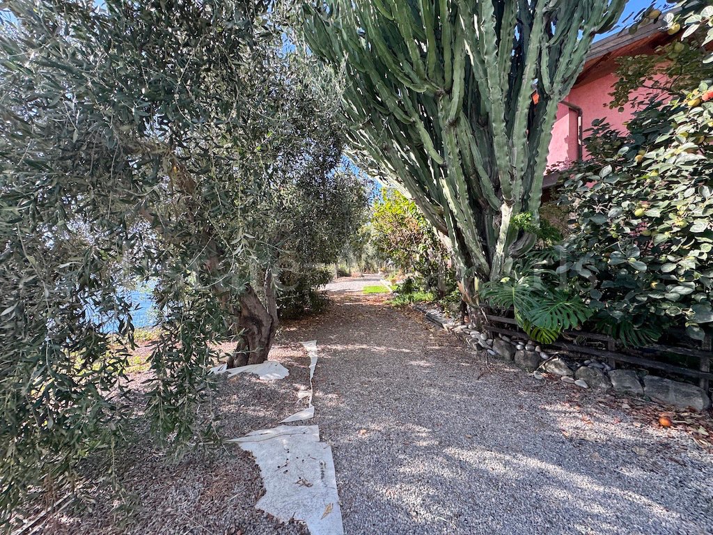 Villa in Madonna della Ruota, Bordighera, Liguria 5 - 16566607