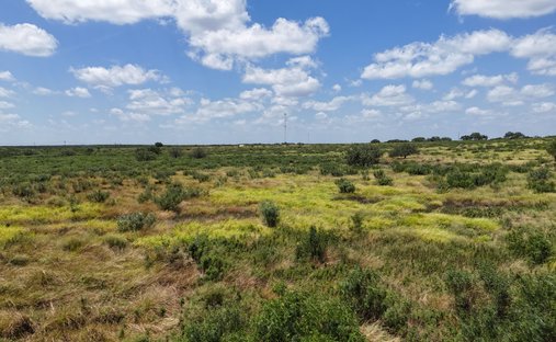 Farm Ranch in George West, Texas, United States 1