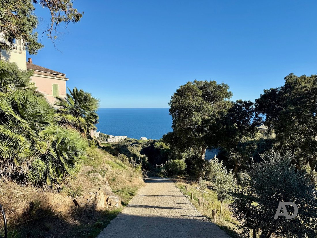 Land in San-Martino-di-Lota, Corsica, France 4 - 16568136