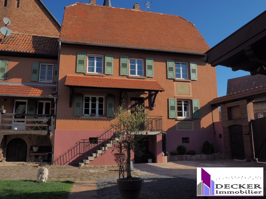 Farm Ranch in Schillersdorf, Grand Est, France 3 - 16568053
