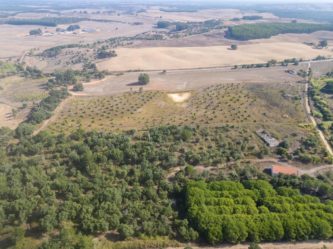 Land in Cercal, Setubal, Portugal 4 - 16568204